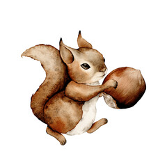 Squirrels and hazelnuts clipart, cute animal character illustration for children. Funny adorable squirrel and nuts cartoon for kids. Isolated clipart.