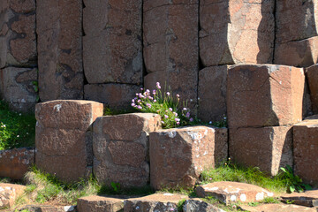Columns of basalt Giant's Causeway on the coast of Northern Ireland