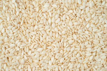 White sesame seeds texture. Top view