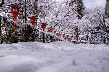 日本の冬