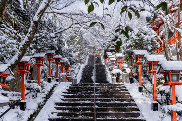京都の冬