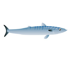fish isolated on white background