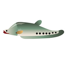 fish isolated on white background