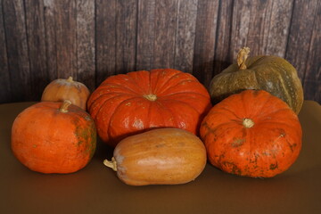 Pumpkin Stalks on display for sale at supermarket
