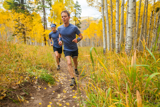Men trail run through aspen forest with fall color in Vail, Colorado