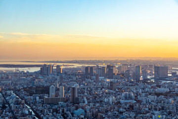 夕方の東京湾と東京の街並みの風景