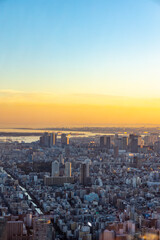 夕方の東京湾と東京の街並みの風景