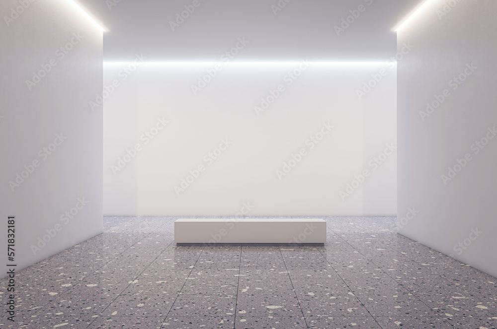 Poster front view on blank light wall background with empy place, poster or product presentation in spaciou