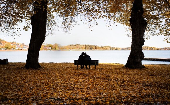 Couple sitting on a bench surrounded by fall leaves enjoying scenery