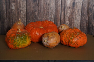 Pumpkin Stalks on display for sale at supermarket