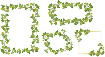 アイビーのフレームセット © hanamuradesign