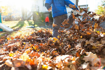 Child kicks leg up in a pile of leaves outside in yard during Autumn