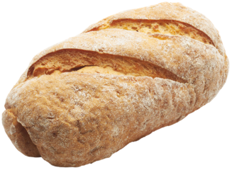 Whole grain gluten free bread