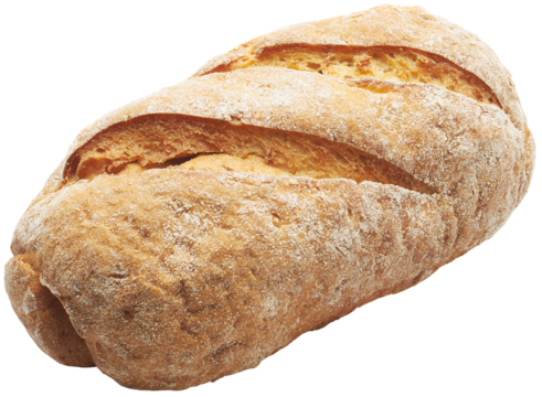 Whole grain gluten free bread