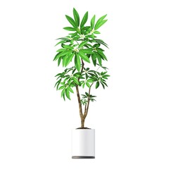 decorative flowers and plants for the interior, isolated on white background, 3D illustration, cg render