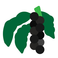 Black Pepper Flat Icon