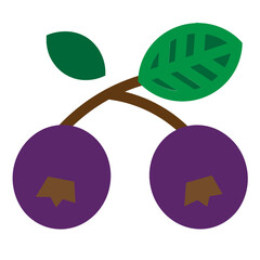 Berries Flat Icon
