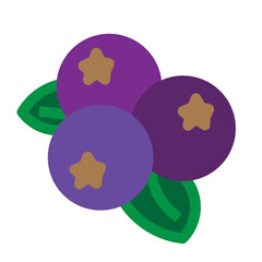 Blueberry Flat Icon