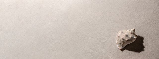 Abstract minimalist summer vacation texture, close up view of sea shell on a beige textile background. Aesthetic neutral colour nature banner