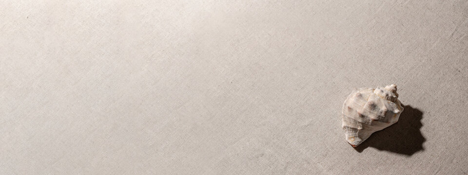 Abstract minimalist summer vacation texture, close up view of sea shell on a beige textile background. Aesthetic neutral colour nature banner