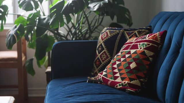 Afghan pillows on blue mid century modern couch with monstera in living room.