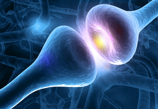 Neuron cells in brain. 3d illustration.