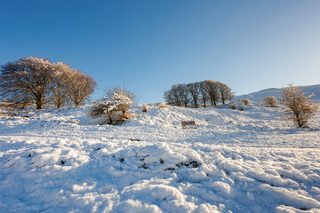 Snow covered wintery scenes of Cleeve Hill on The Cotswold Way, Cheltenham, Gloucestershire
