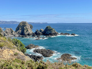 Fototapeta na wymiar Marine Landscape. The view of rocky coastline at Tawharanui Regional Park in a sunny day, New Zealand.