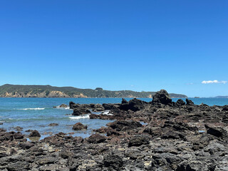 Fototapeta na wymiar Marine Landscape. The view of rocky coastline at Tawharanui Regional Park in a sunny day, New Zealand.