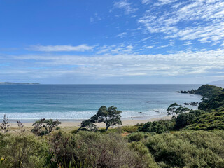 Coastline at Tawharanui Regional Park in a sunny day, New Zealand.