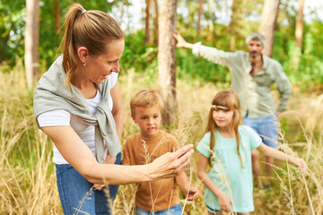 Fototapeta premium Children hiking with family in forest during vacation