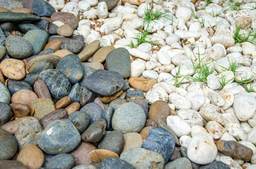 texture is decorative pebbles. Textured background of smooth multi colored and white pebbles, stone