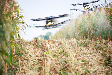 drones for agriculture and forestry spray chemicals in the farm