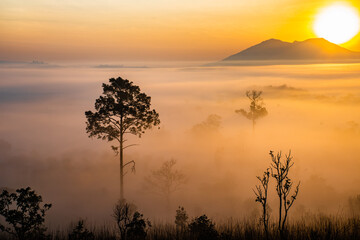 Thung Salaeng Luang National Park,The sun over the mountains and vast grasslands, Phetchabun Province, Thailand
