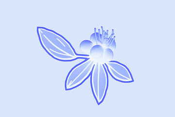 Small flower with stems art design