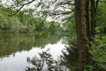 Wollwiesenteich bei Dietzenbach