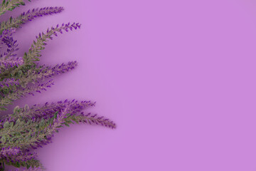 Lavender flowers lie on a purple background with copy space
