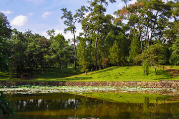 romantic  asian landscape of a lake in the spring green field