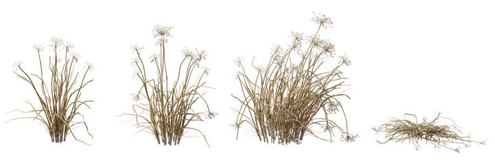 Savanna dried grass field cutout backgrounds 3d illustration png - obrazy, fototapety, plakaty