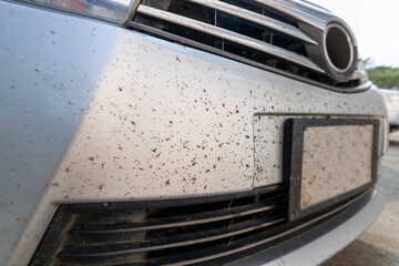 Insects, bugs and mosquitoes died damage squashed on front bumper car or truck. Car cleaning or...