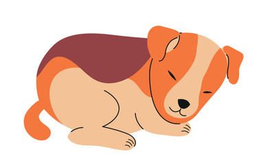 Cute domestic animal