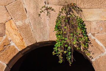 Old stone wall with arch and green grass as background