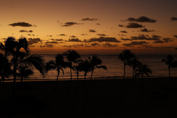 Fototapeta na wymiar Sunset with silhouette of palm trees. High quality photo