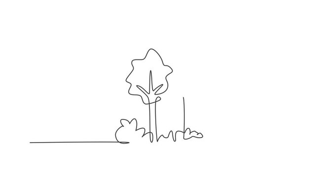 Animated self drawing of continuous one line draw green trees for park garden logo icon. Eco natural symbol hand drawn minimalist concept. Full length single line animation illustration.