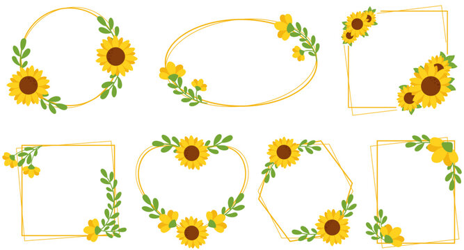 Set illustration of frames of sunflower flowers. Set of sunflowers isolated on white background. Collection of beautiful sunflowers, Sunflowers Frames. Sunflowers Frames, Geometry Frame.