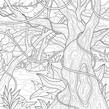 Jungle.Coloring Book Antistress For Children And Adults. Illustration Isolated On White Background.Zen-tangle Style. Hand Draw