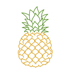 Pineapple fruit. Vector line. Editable outline stroke.