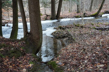 Winter stream 