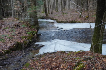 stream in the forest in winter