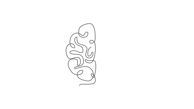 Animated self drawing of one continuous line draw half human brain and love heart shape logo icon. Psychological split affection logotype symbol template concept. Full length single line animation.